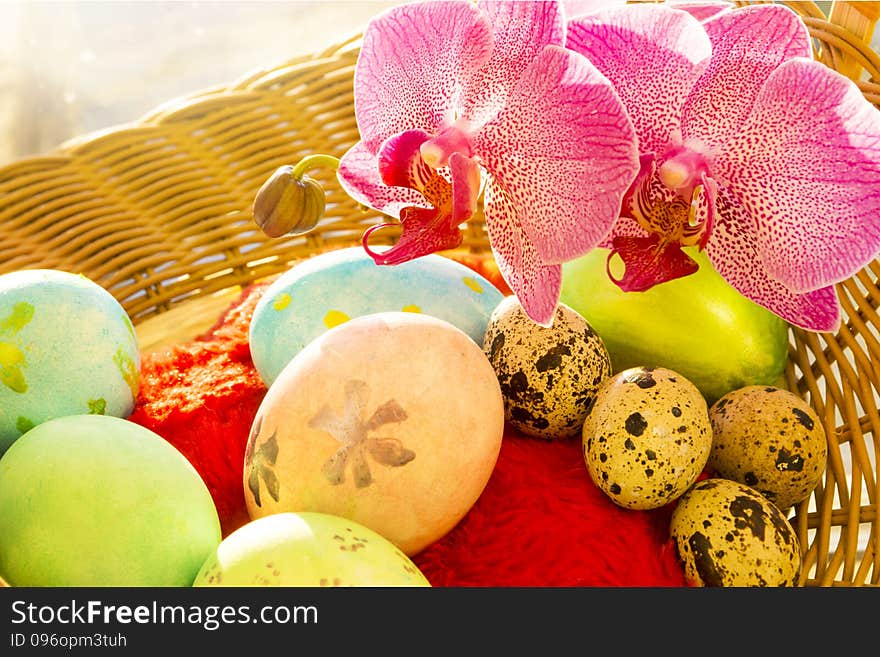 Easter eggs in a basket, flowering Orchid, sunrise. Easter eggs in a basket, flowering Orchid, sunrise