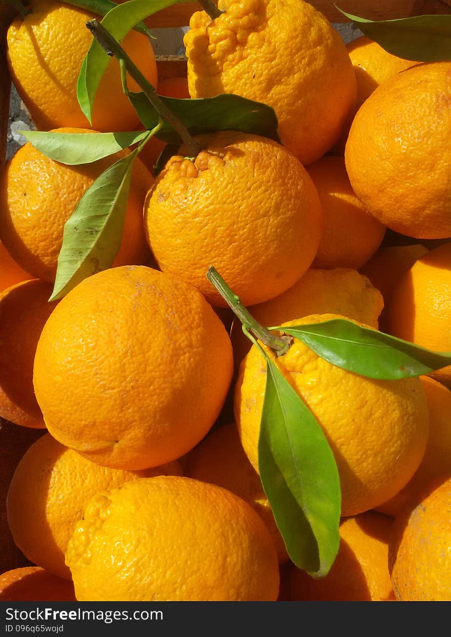 Red oranges from Sicily. Red oranges from Sicily