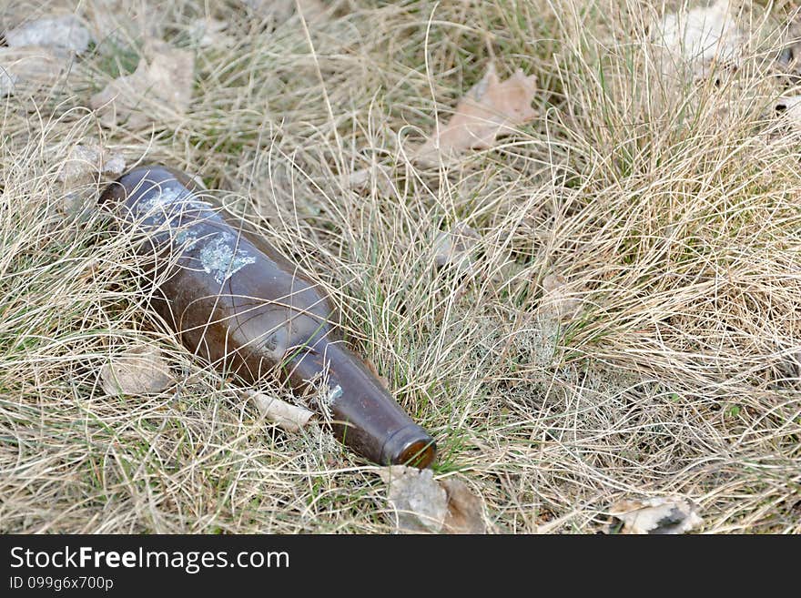 Empty beer bottle