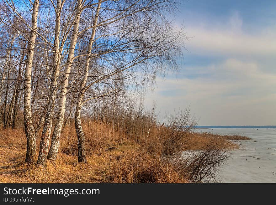 Landscape park in the early spring