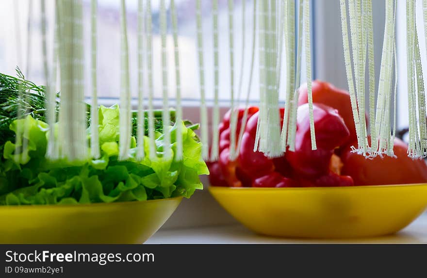 Paprika, tomato and greens in bowls on windowsill. Paprika, tomato and greens in bowls on windowsill