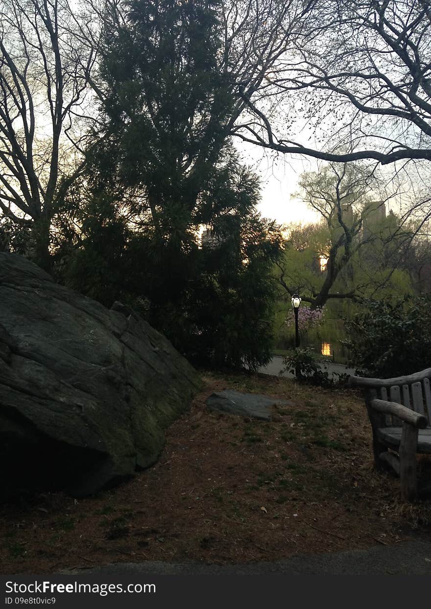 Early Evening in Central Park in Spring.