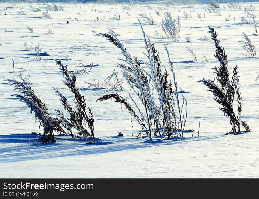 Nature Altaya pleases eye of the artist in any season of the year