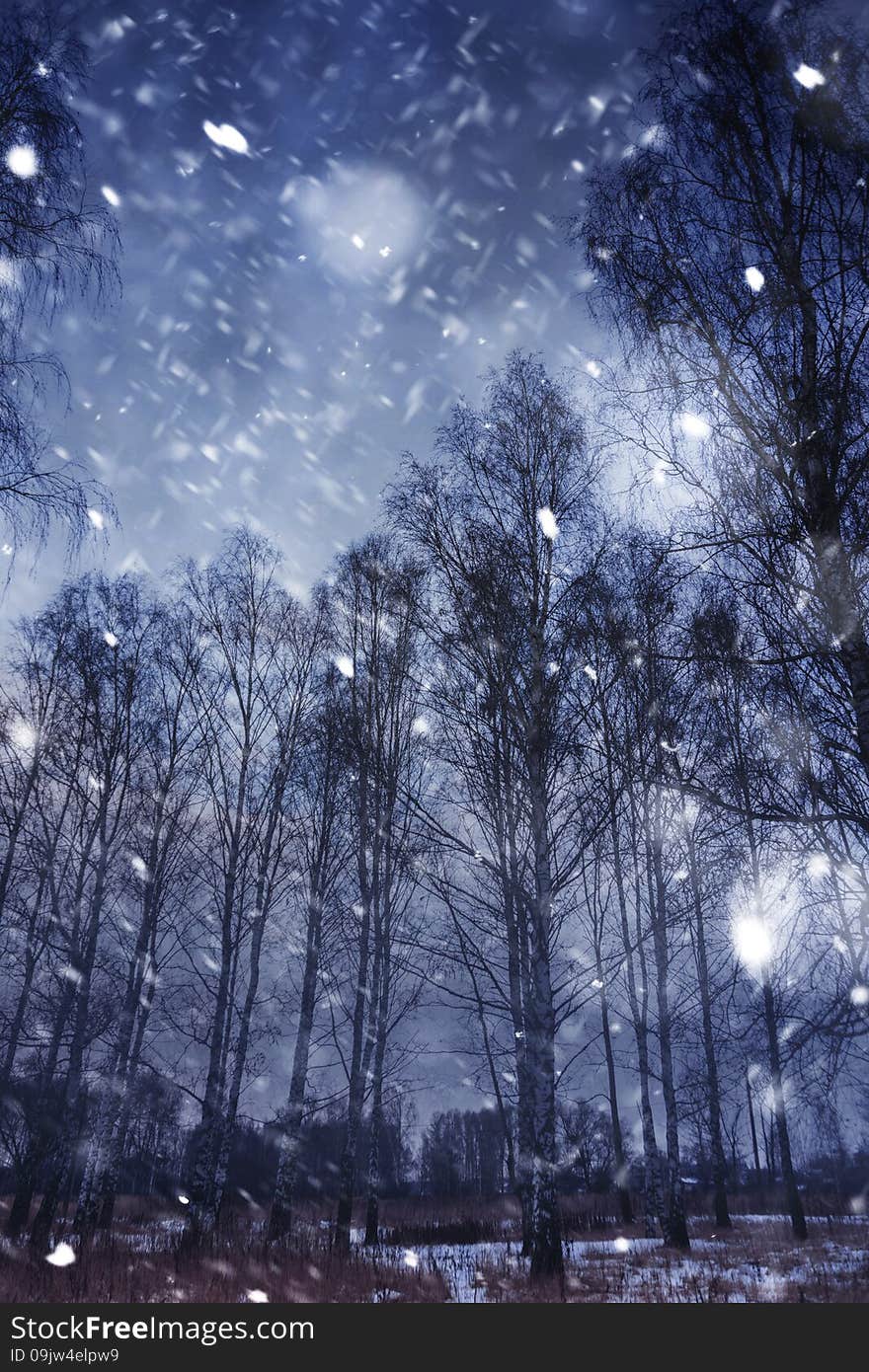 Snow storm in a forest, abstract winter background. Snow storm in a forest, abstract winter background.