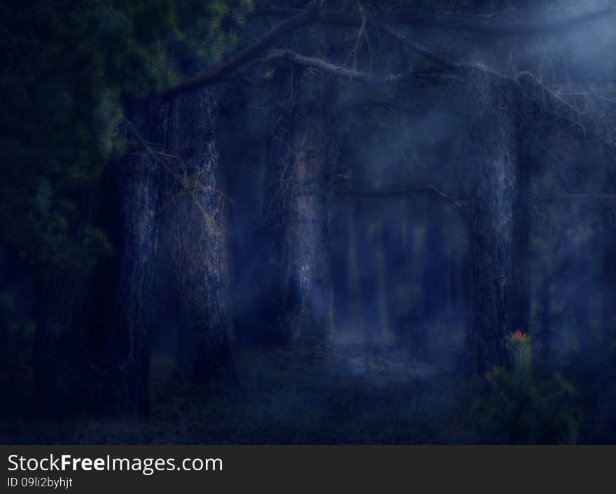 Dark deep magical forest with fog, halloween background.