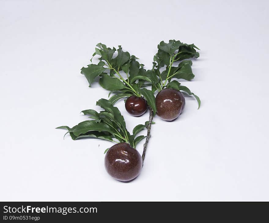 Plum on a white background . Ready for you to apply. Plum on a white background . Ready for you to apply.