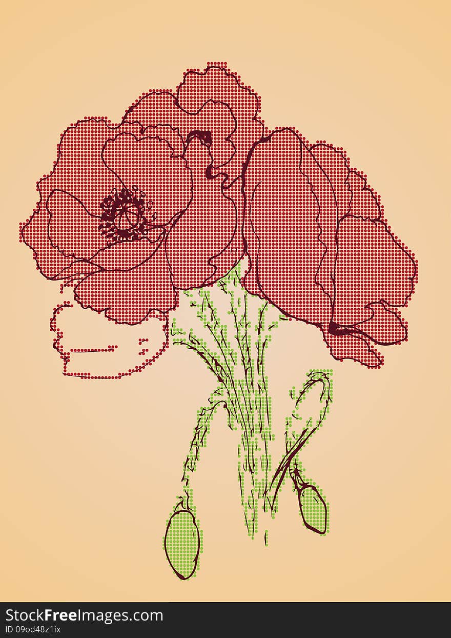 Poppy Flowers Sketch