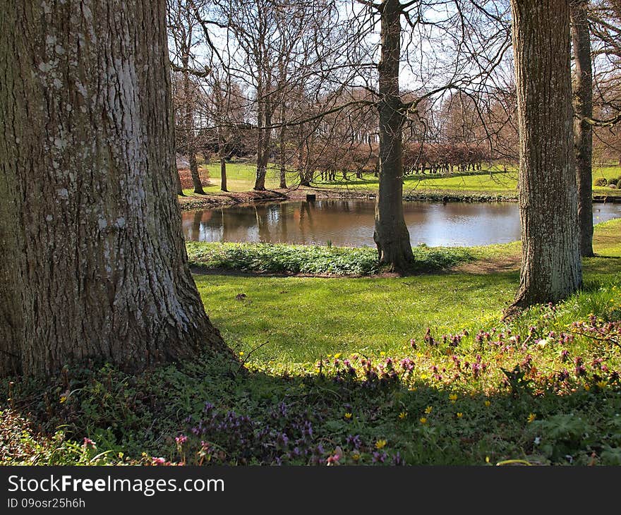 Small pond lake with trees