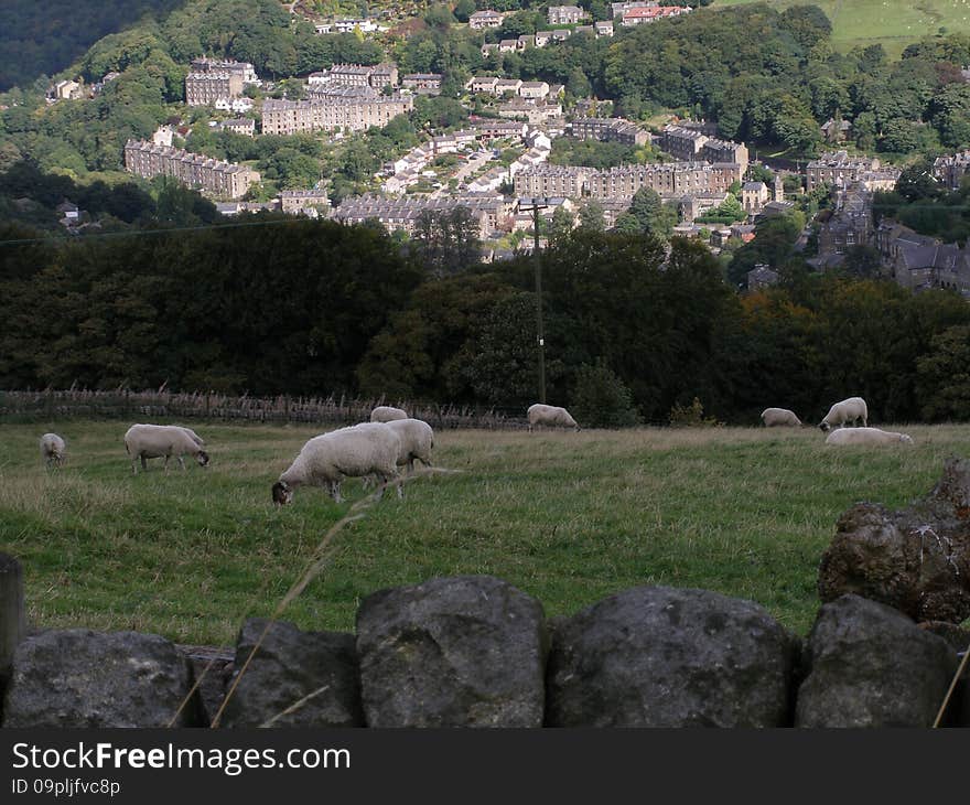 Walking on yorkshire moors.