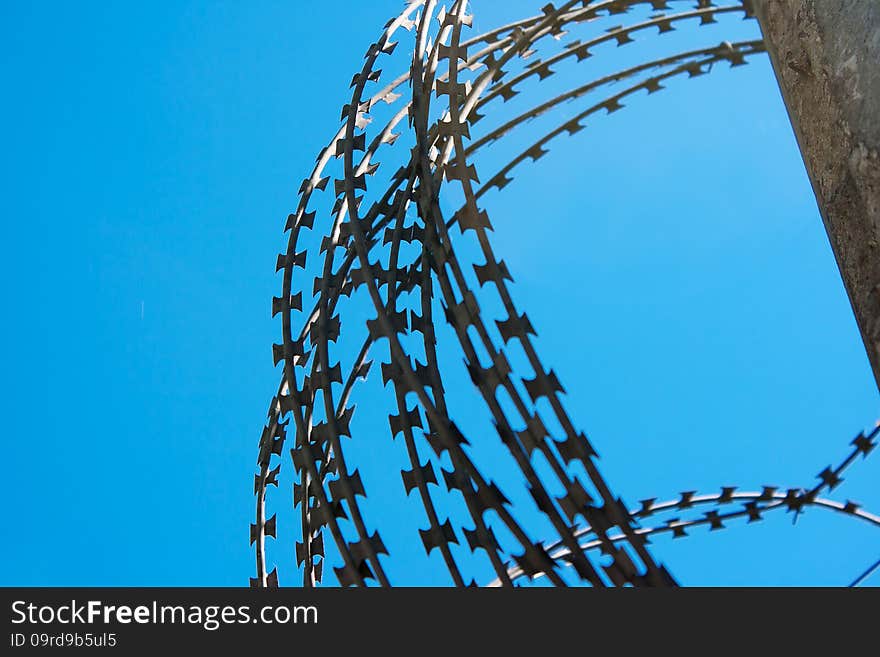 Coil of barbed wire on a concrete fence