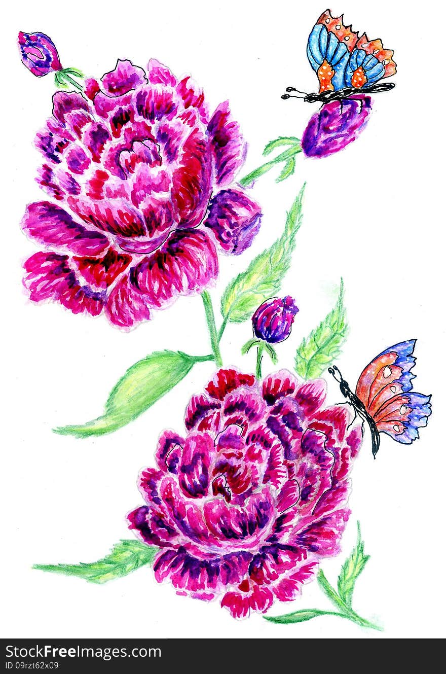 Greeting card with peony flowers and butterfly, watercolor painting.