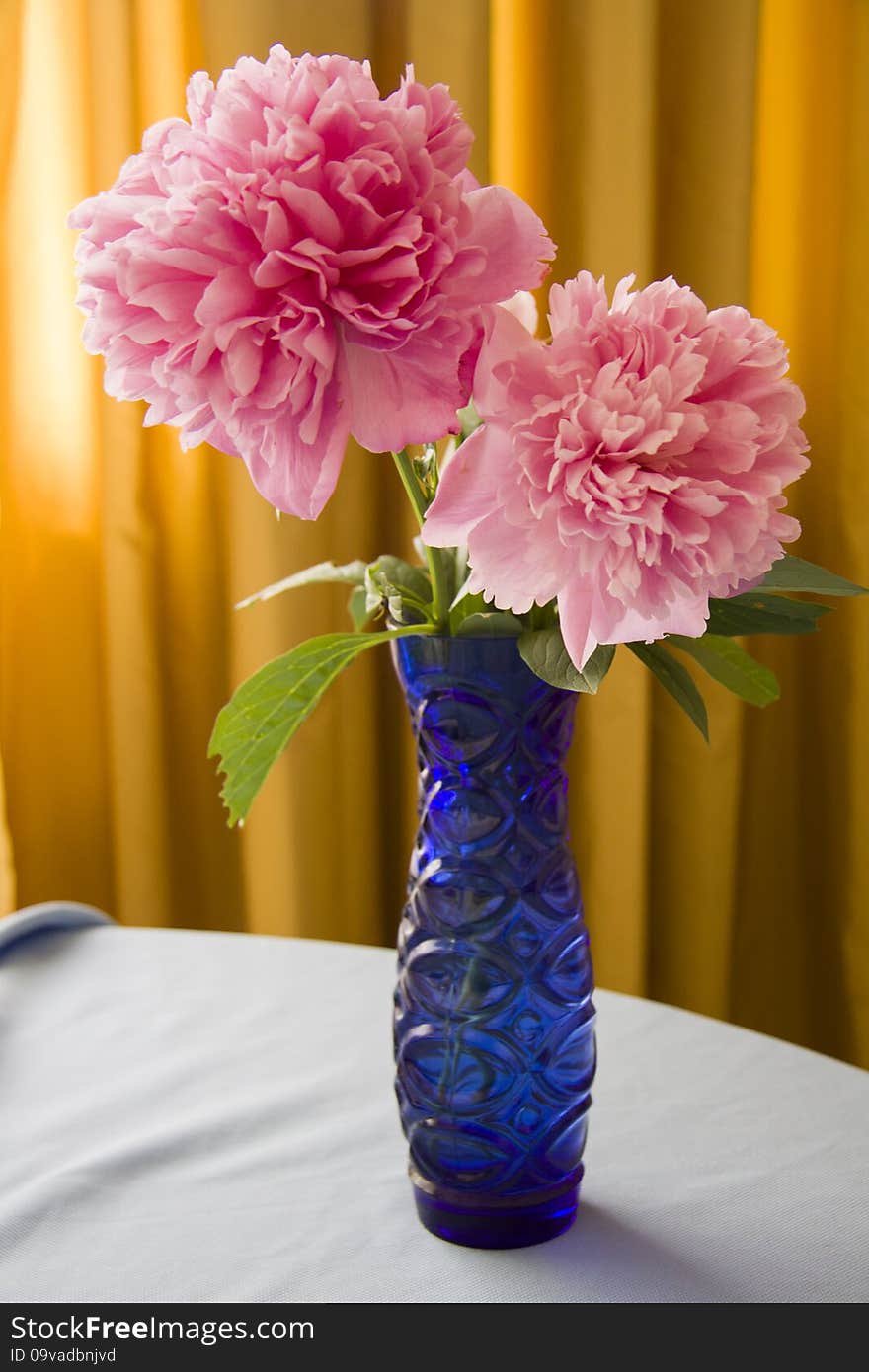 Large pink peony flowers