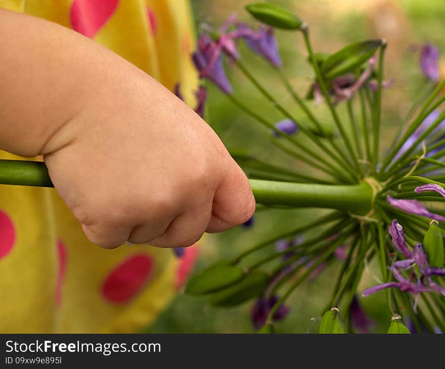 Lovely infant baby hand holding a flower soft and tender background image