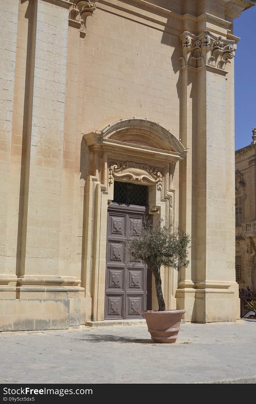 Antique door of a building in the classical style. Antique door of a building in the classical style