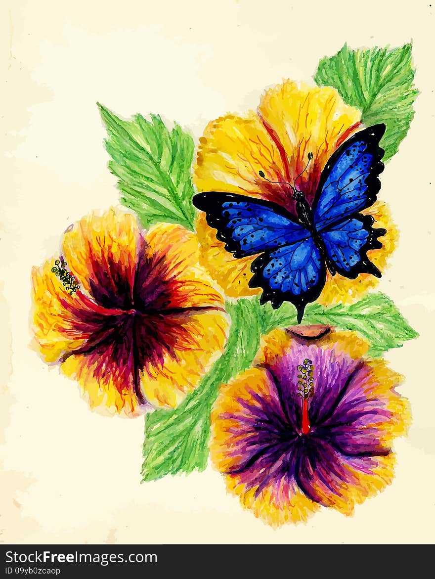 Watercolor painting of hibiscus flower, hand drawn illustration. Watercolor painting of hibiscus flower, hand drawn illustration.