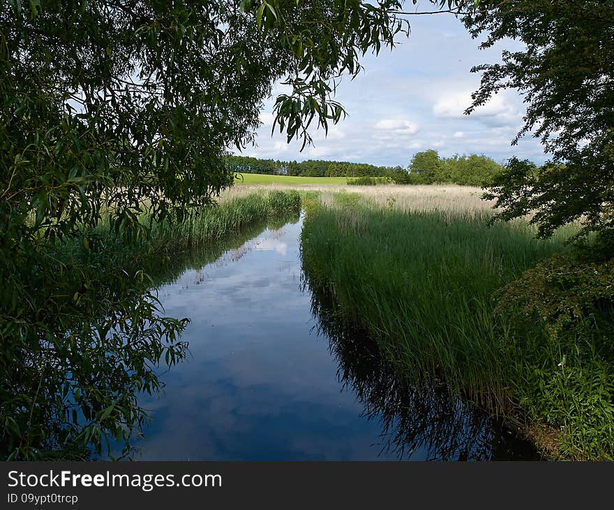 Small beautiful brook stream river in a green lush forest nature background. Small beautiful brook stream river in a green lush forest nature background