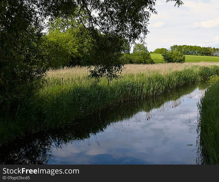 Small beautiful brook stream river in a green lush forest nature background. Small beautiful brook stream river in a green lush forest nature background