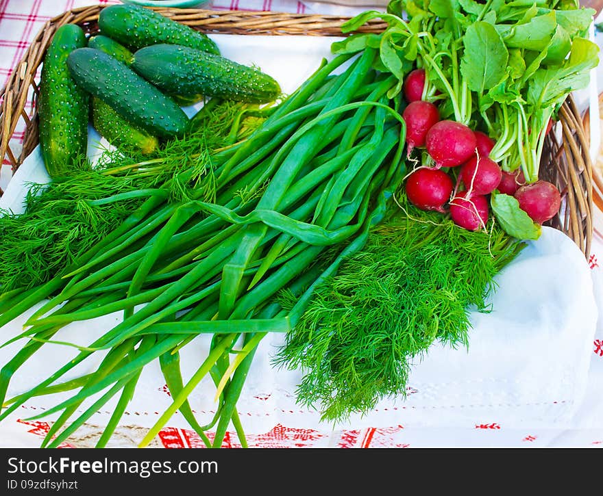 Green onions, radishes and cucumbers on a table