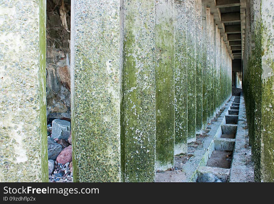 Corridor Of Green Concrete Pillars