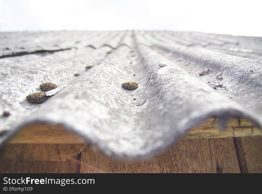 Roof into the sky, more than one year saves from rain and snow, but takes its time