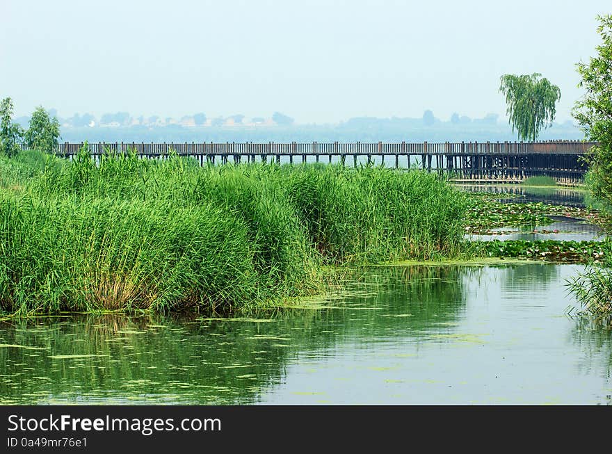 Wetland park