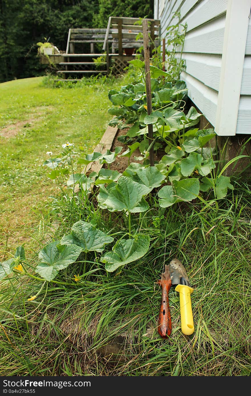 A picture of garden tools in a garden in Canada.