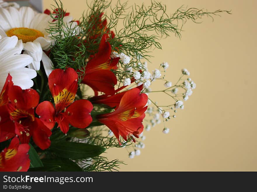 Bouquet of chamomiles and red orchids on beige background. Bouquet of chamomiles and red orchids on beige background