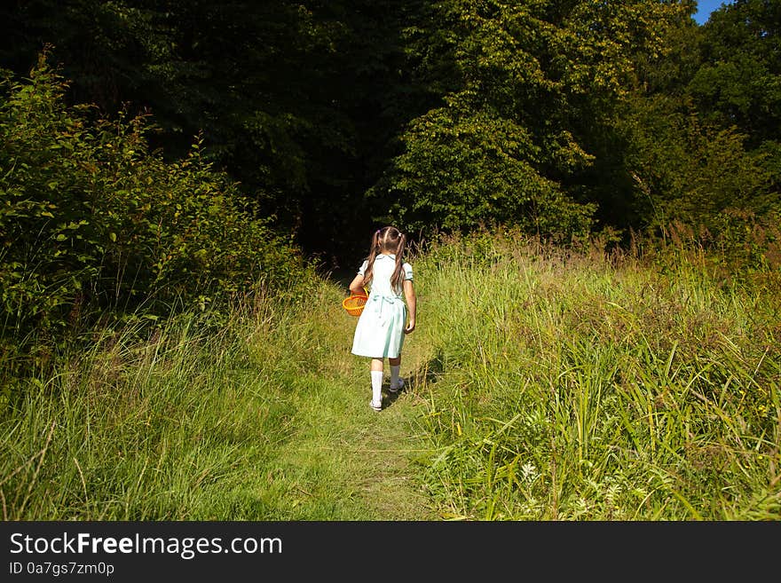 Little Girl Goes To The Forest