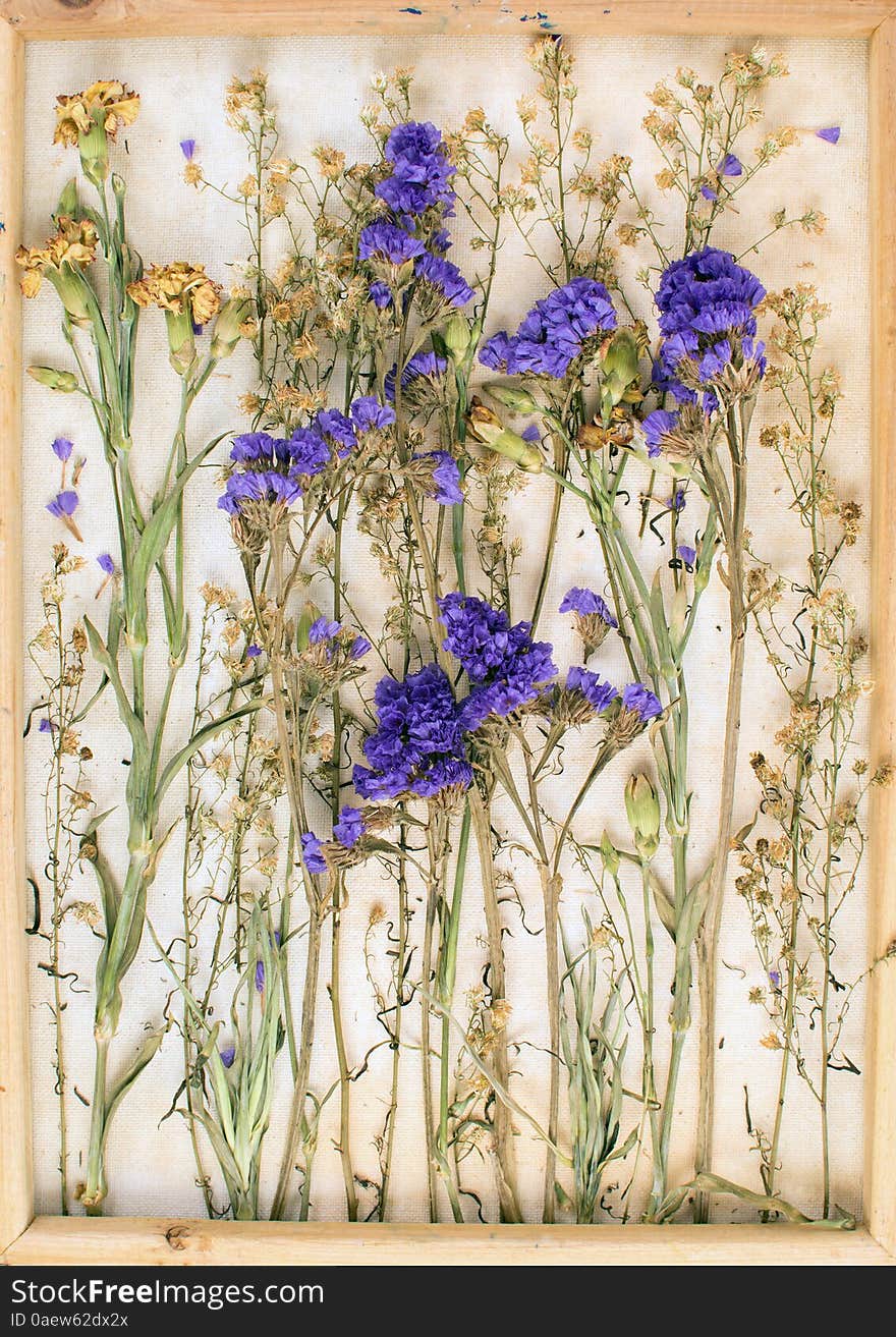 Vintage image of dried flowers