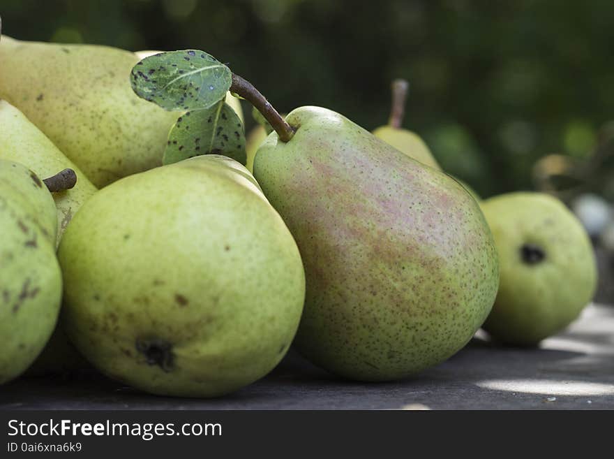 Sweet home-grown pears. Sweet home-grown pears