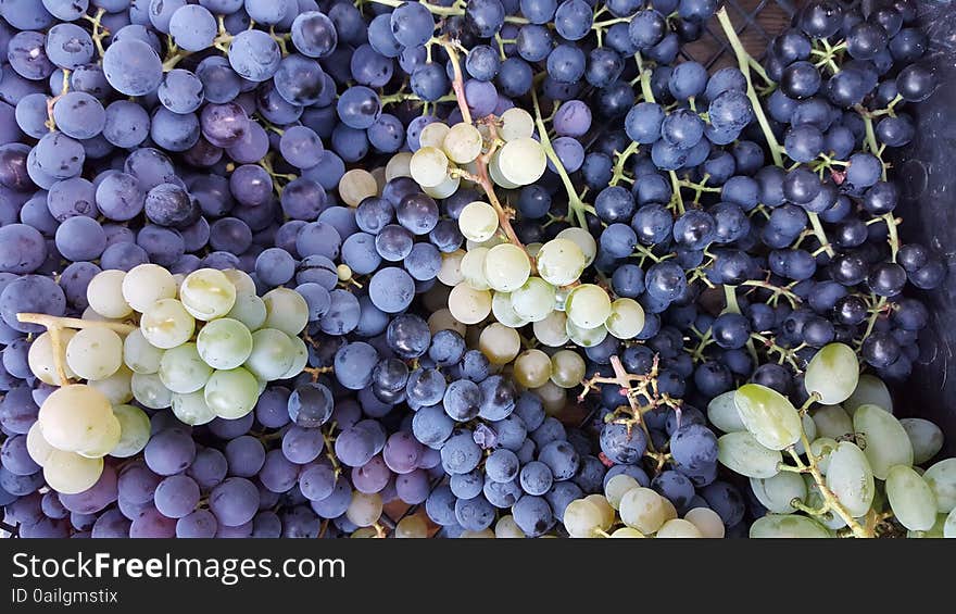 Grapes