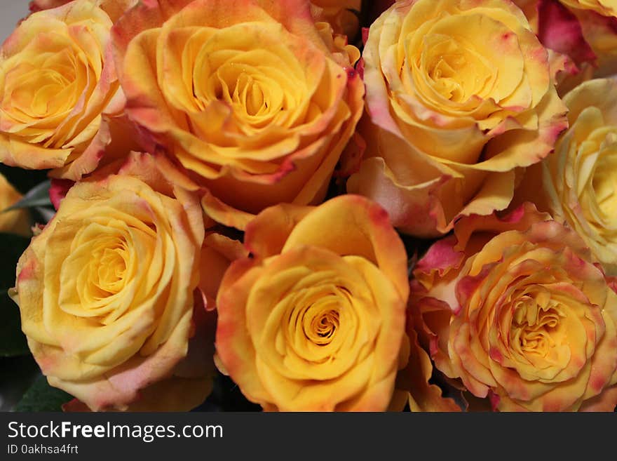 Close up of a bouquet of flowers with pink and yellow roses