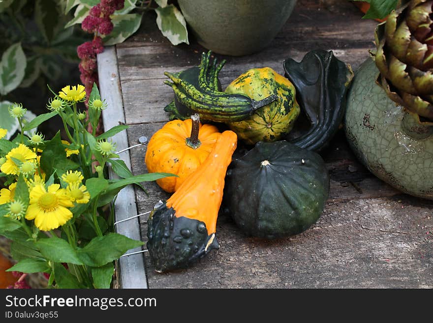 Pumpkins On A Wooden Box With Flowers