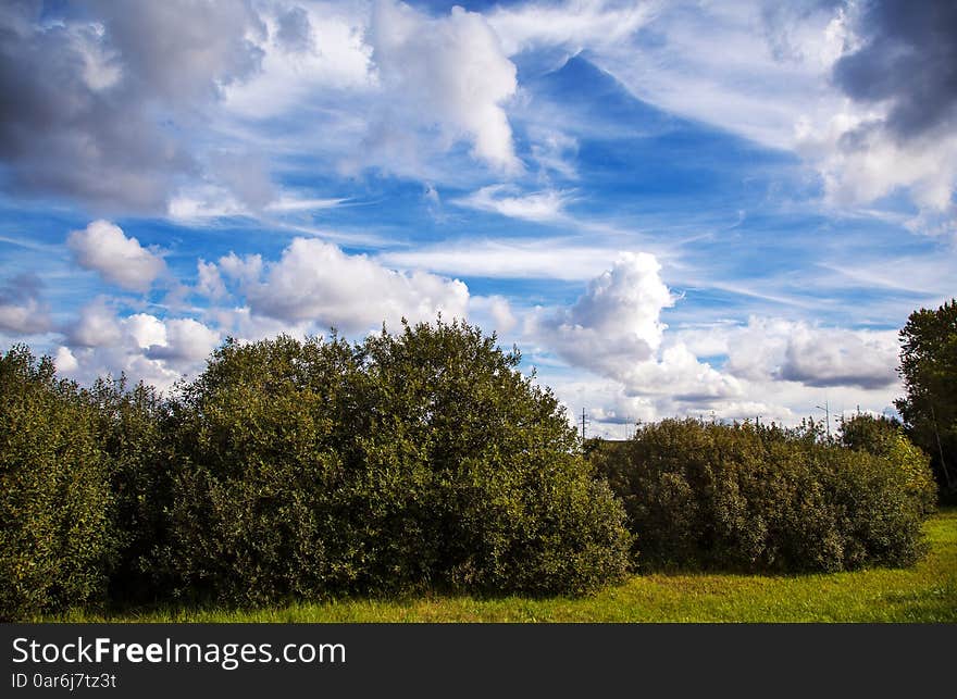 Cloud landscape with green trees and grass on sunny autumn day