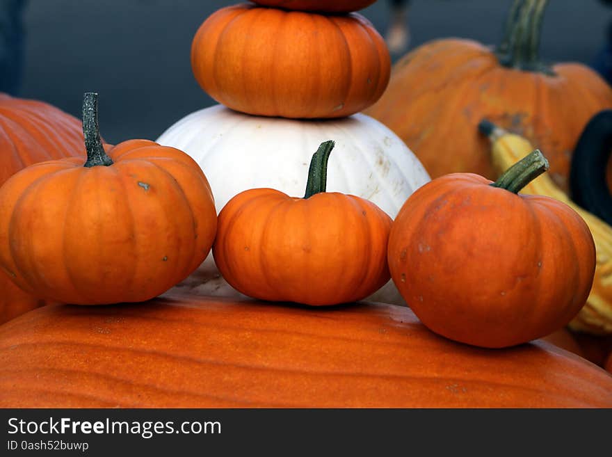 Orange and white pumpkins at local grower's market