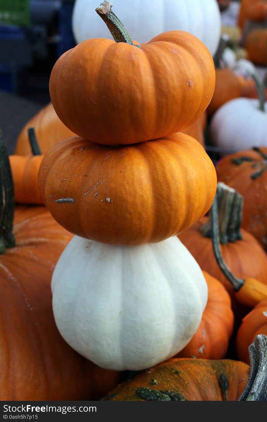 Orange and white pumpkin tower on display at local grower's market