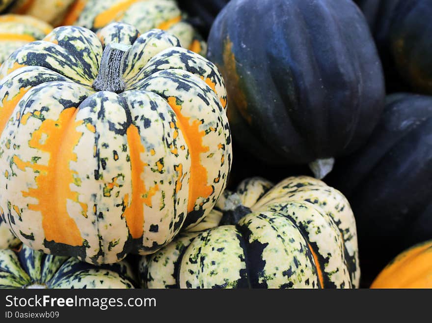 Colorful carnival squash and kabocha squash