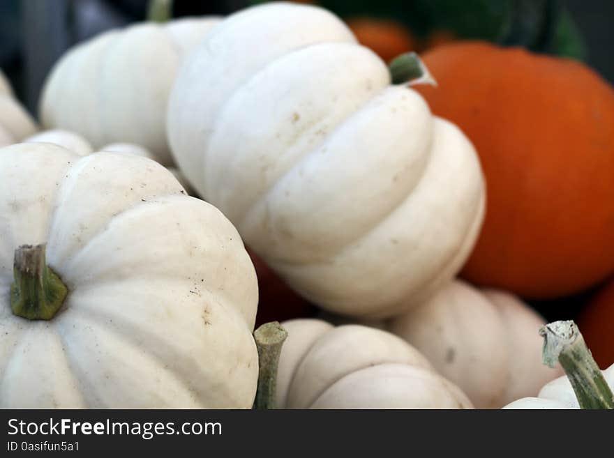 White Pumpkins