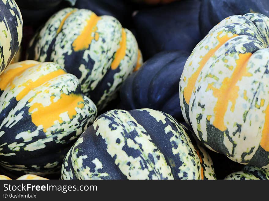 Colorful carnival squash and kabocha squash