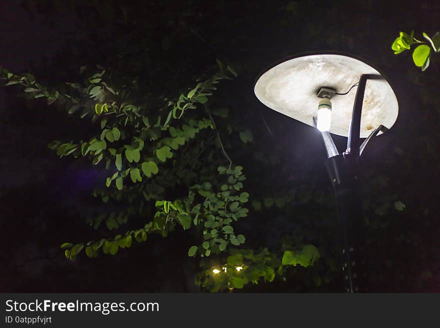 A street lamp at night.