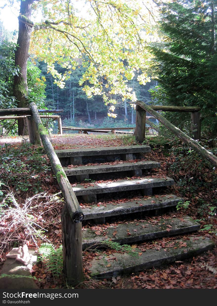 Beautiful autumn. yellow leaves on the stairs. romantic nature. Beautiful autumn. yellow leaves on the stairs. romantic nature