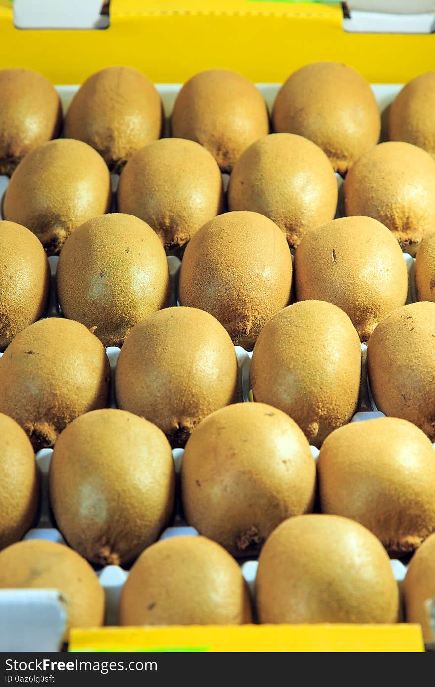 Neat rows of kiwi fruit