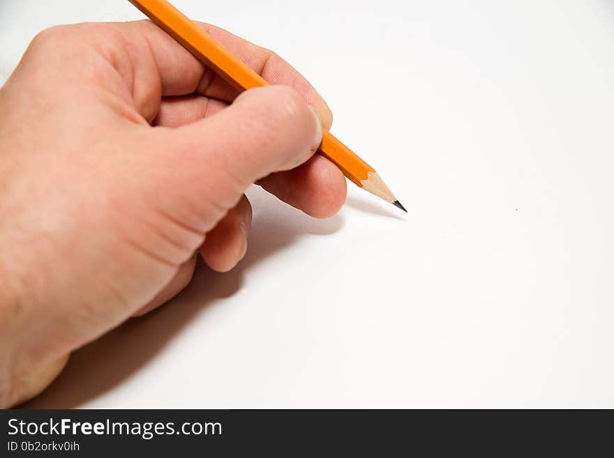 Men's left hand holding a pencil on over white