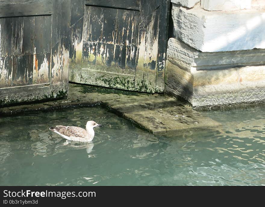 Streets and canals of Venice