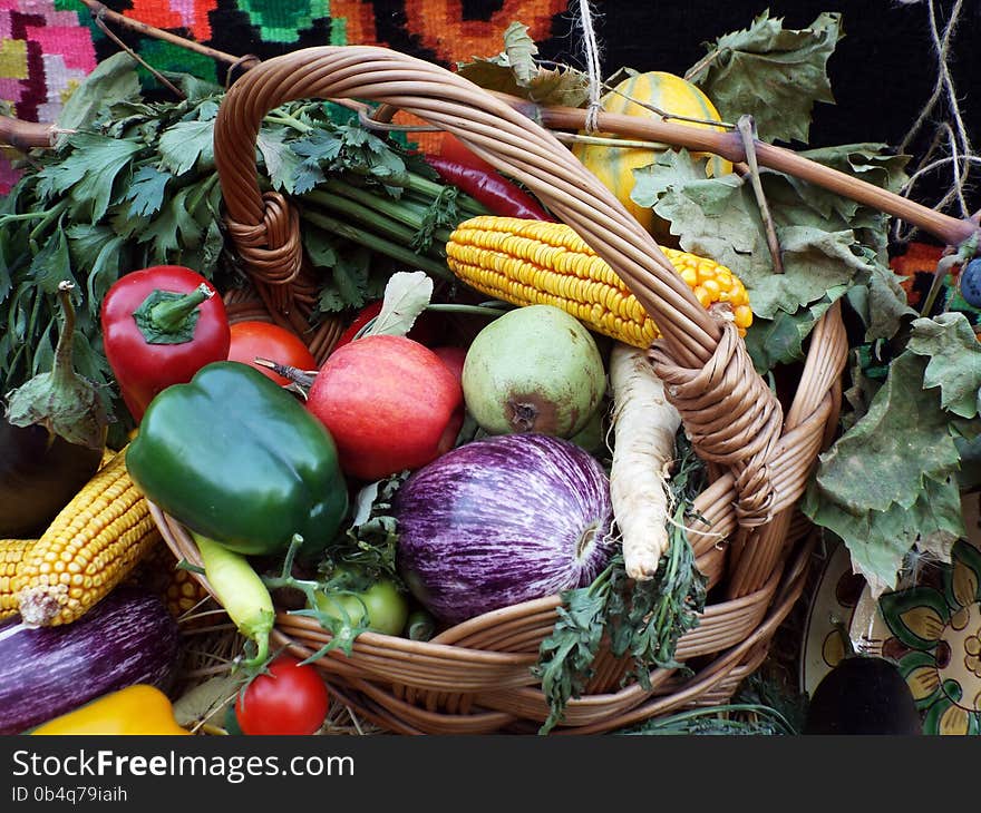 Rural eco vegetables view in september season