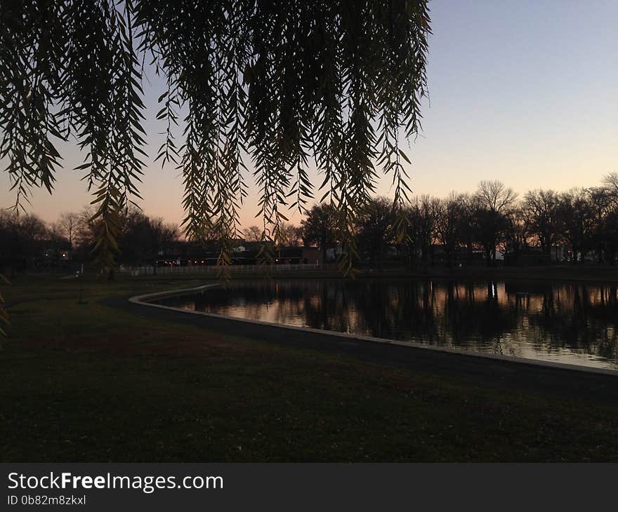 Trees Reflecting in a Pond Surface during Sunset in Winter in Lincoln Park in Jersey City, NJ - view from under a Willow Tree. Trees Reflecting in a Pond Surface during Sunset in Winter in Lincoln Park in Jersey City, NJ - view from under a Willow Tree.