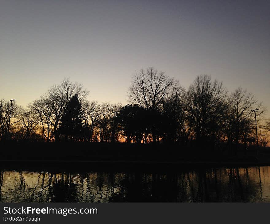 Trees Reflecting in a Pond Surface during Sunset in Winter in Lincoln Park in Jersey City, NJ. Trees Reflecting in a Pond Surface during Sunset in Winter in Lincoln Park in Jersey City, NJ.