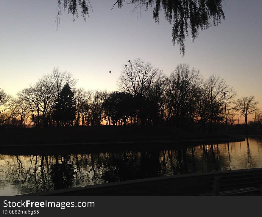 Trees Reflecting in a Pond Surface during Sunset in Winter in Lincoln Park in Jersey City, NJ - view from under a Willow Tree. Trees Reflecting in a Pond Surface during Sunset in Winter in Lincoln Park in Jersey City, NJ - view from under a Willow Tree.