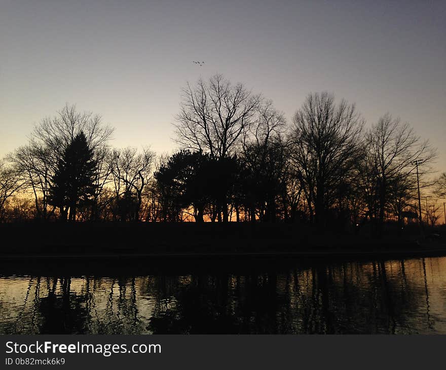 Trees Reflecting in Water Surface during Sunset in Winter.