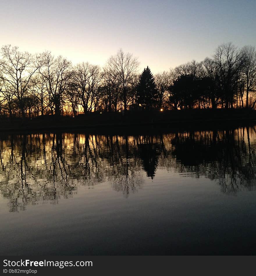 Trees Reflecting in a Pond Surface during Sunset in Winter in Lincoln Park in Jersey City, NJ. Trees Reflecting in a Pond Surface during Sunset in Winter in Lincoln Park in Jersey City, NJ.